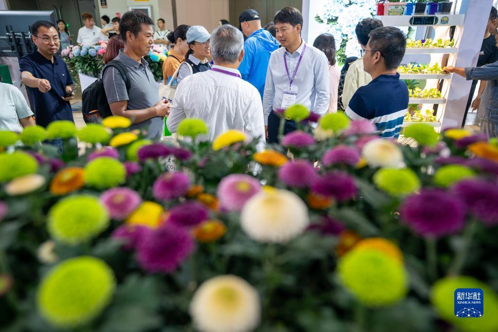 宝马棋牌网站
